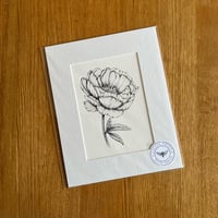 Image 5 of Flower Giclee Prints - Various Designs