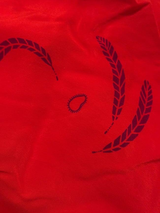 1970s Zandra Rhodes red silk feather and sun print scarf dress