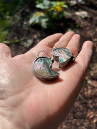 Image 2 of Abalone Shell Nautilus Earrings