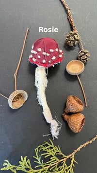Image 5 of Red cap mushroom brooch 