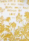 Plant Love