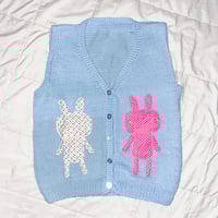 Image 1 of bunny vest