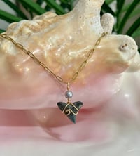 Image 1 of Shark Tooth Necklace ST114