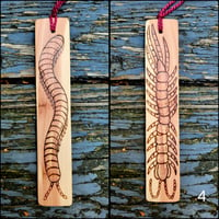 Image 4 of Centipede/Millipede Cedar Bookmark