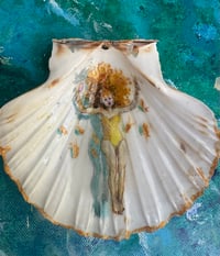 Image 2 of Shell Swimmers 