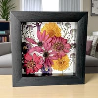 Image 3 of  Zinnias, Cone Flowers, Coreopsis, & Sweet Alyssum in a 6" X 6" Shadow Box (Item# 202507S)