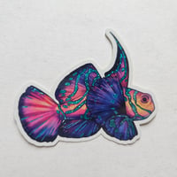 Mandarin Fish