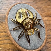 Image 3 of Specimen spider (c,  4x5 inches)