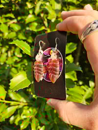 Image 4 of Amber Earing Set