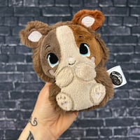 PEANUT- Biscuit
