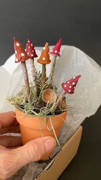 Image 3 of Mushroom Gardens 