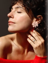 Image 1 of Daisy pink salt