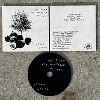 Image 2 of Often Wrong - The Figs Are Starting to Rot