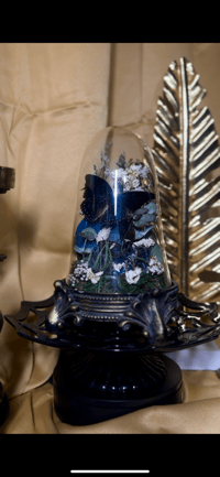 Image 1 of Blue Baby’s Breath
