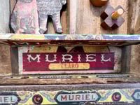 Image 6 of Muriel- Michelle Kokkales