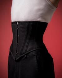 Image 5 of “WASP” Corset