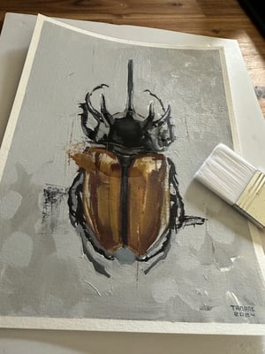 Image of Beetle (5 Horned Rhinoceros)