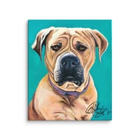 Image 3 of Teal Mastiff