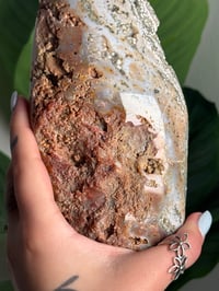 Image 8 of PEACHY GREEN VEINLESS OCEAN JASPER FREEFORM -MADAGASCAR-