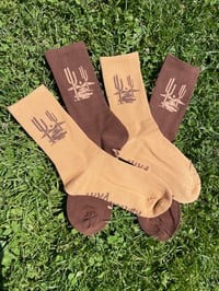 Image 1 of Desert Socks