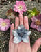 Image of HUGE Hand-Fabricated Hellebore Flower Ring (Semi-adjustable, finished in your size)
