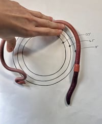 Image 5 of Standard Segmented Neck Cuff