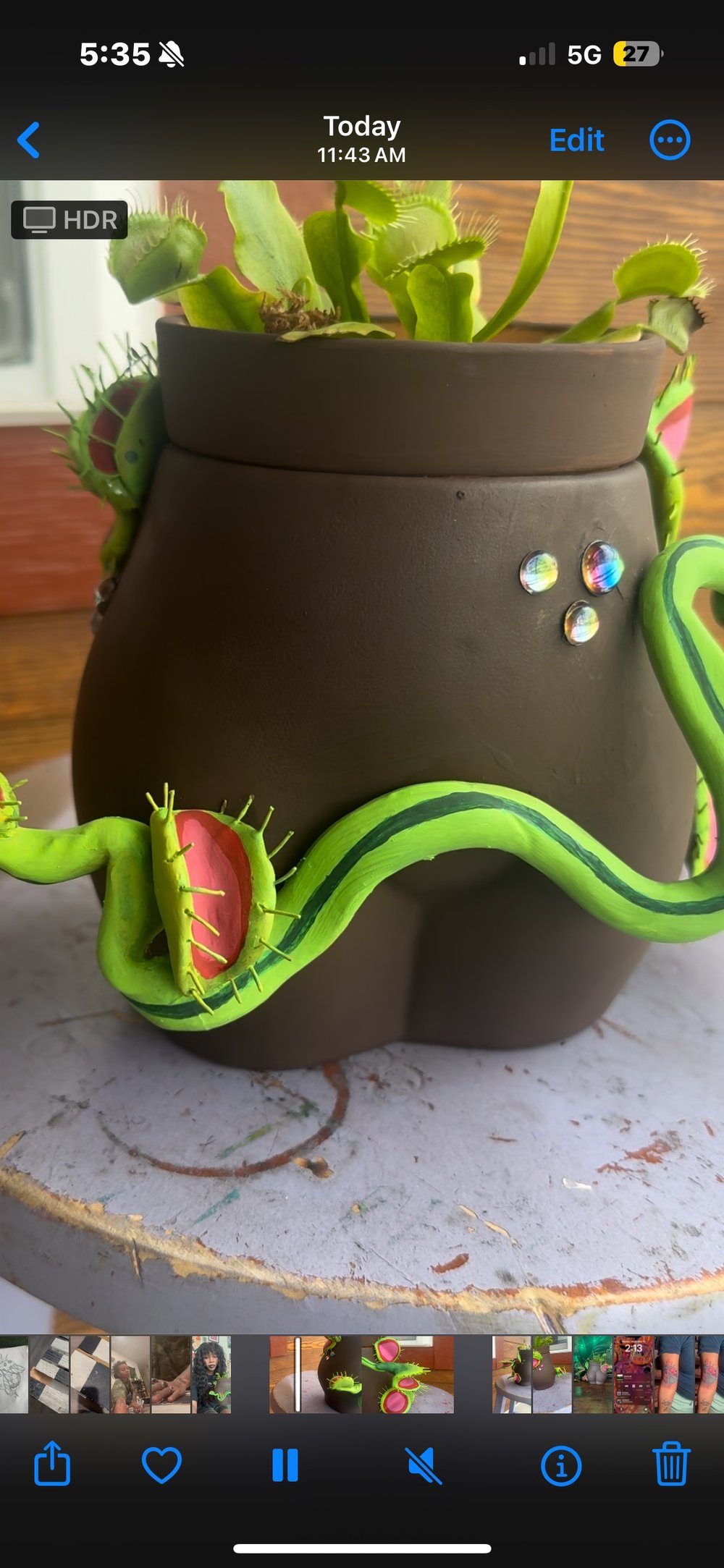 Image of Venus fly trap planter 