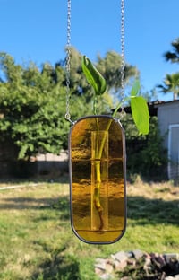 Image 3 of Iridescent Amber Propagation Holder
