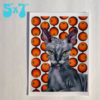 Image 3 of Sphynx cat print