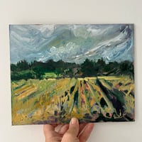 Image 2 of Harvesting 