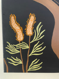 Image 4 of “Grevillea”