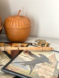 Image 4 of Coffret Belle nature 🐧[au lieu de 49€]