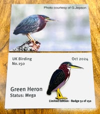 Image 1 of Green Heron - No.150 - UK Birding Pins 