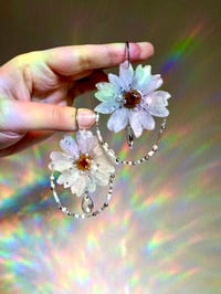 Image 1 of 🤍Dewdrop Pearl Daisies🤍