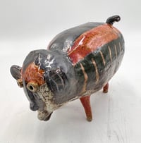 Image 3 of  Chimp- Aweenie