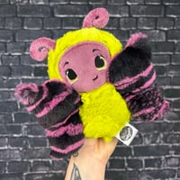 PEANUT- Dazzle