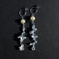 Image 1 of First Light