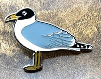 Image 2 of Great Black-headed Gull - No.19 - Bird Pin Badge Group Series