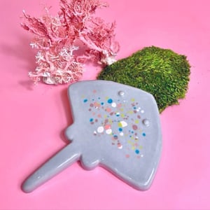 Image of Sting Ray mirror