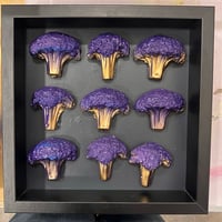Turn the wigs around 9 Broccolis