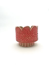 Image 1 of Red planter