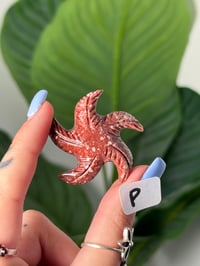 Image 16 of CHOOSE YOUR OWN MINI SOAPSTONE STARFISH