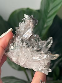 Image 4 of SELF STANDING PINK COLOMBIAN QUARTZ WITH CHLORITE B