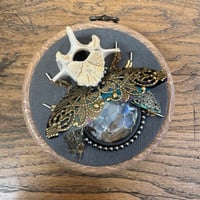 Image 4 of Snake skin vertebrae beetle (a, 4 inches)