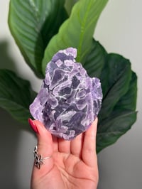 Image 1 of BLUE/PURPLE FLUORITE -CHINA- C