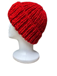 Image 3 of CHUNKY BEANIE MARS