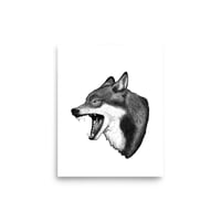 Coyote | Print