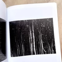 Image 6 of Al Brydon - As We Wander (Signed)