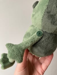 Image 4 of Small - Frog Of Many Names Plushie - OTGW - made to order