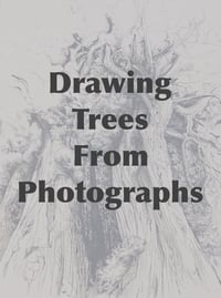 Image 1 of Drawing Trees From Photographs Class